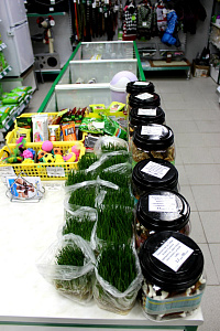 Птичка, сеть зоомагазинов