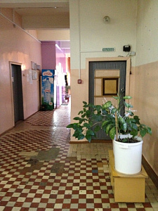 VIP, сауна