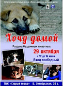 29 октября - акция по раздаче бездомных животных «Хочу домой»