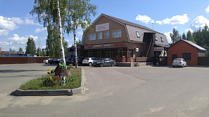 Золотая орхидея